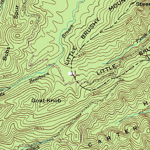 Topographic Map of Little Brushy Mountain, VA