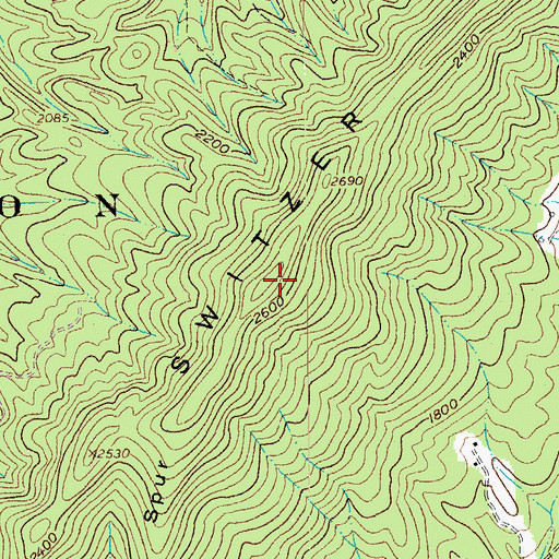 Topographic Map of Switzer Mountain, VA