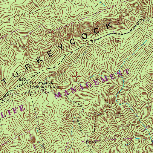 Topographic Map of Turkeycock Wildlife Management Area, VA