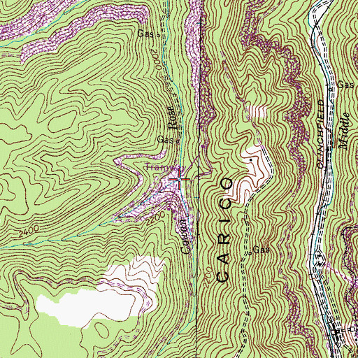 Topographic Map of Low Gap Branch, VA