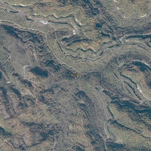 Aerial/Satellite Image of Manns Branch, VA
