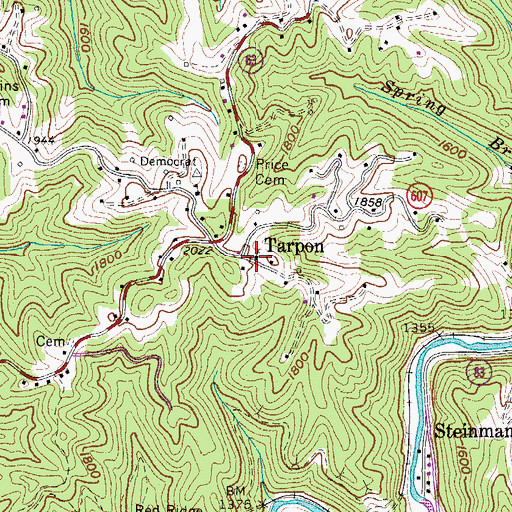 Topographic Map of Tarpon Freewill Baptist Church, VA