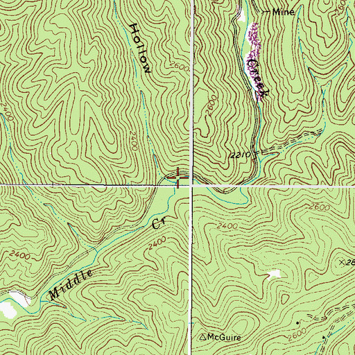 Topographic Map of Long Branch, VA