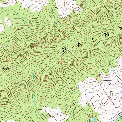 Topographic Map of Paint Rock, VA