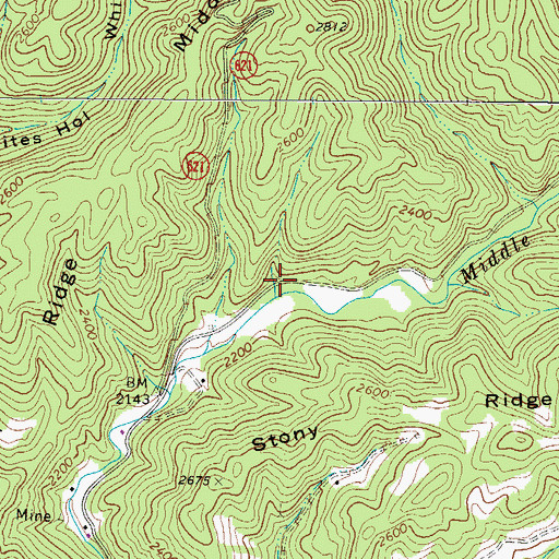 Topographic Map of Piney Spring Hollow, VA
