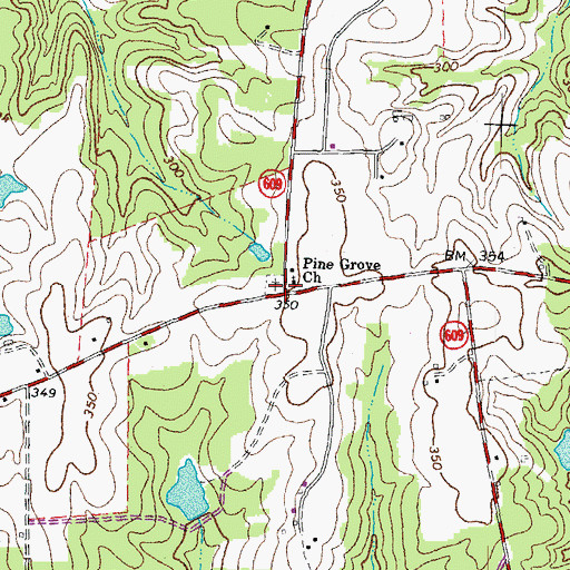 Topographic Map of Pine Grove Cemetery, VA
