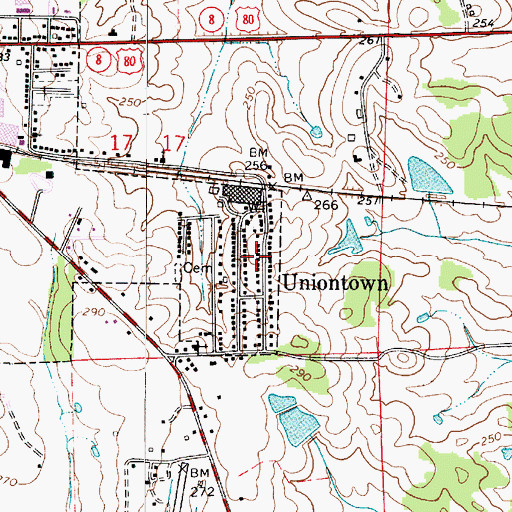 Topographic Map of The Village, AL