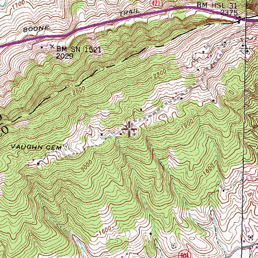 Topographic Map of Vaughn Cemetery, VA