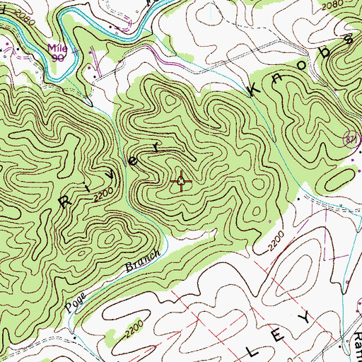 Topographic Map of Bear Knob, VA