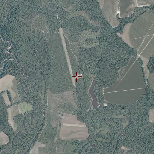 Aerial/Satellite Image of Toddsbury Farm Airport, VA