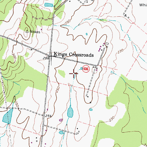 Topographic Map of Whipoorwill Springs Airport (historical), VA