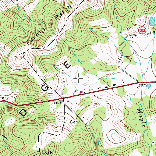 Topographic Map of Micro Airport, VA