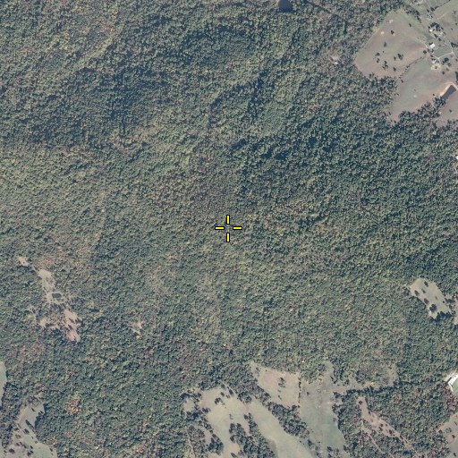 Aerial/Satellite Image of Brokenback Mountain, VA