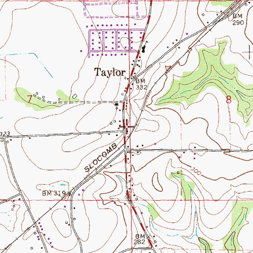 Topographic Map of Taylor Town Hall, AL
