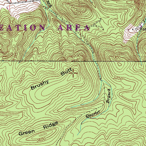 Topographic Map of Brushy Butt, VA