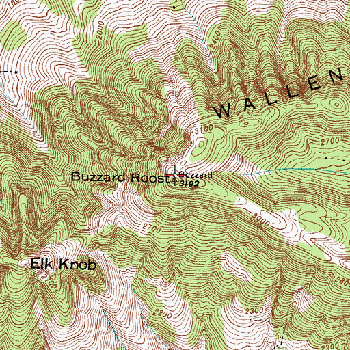 Topographic Map of Buzzard Roost, VA