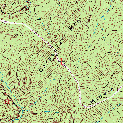 Topographic Map of Carpenter Mountain, VA
