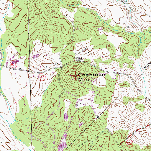 Topographic Map of Chapman Mountain, VA