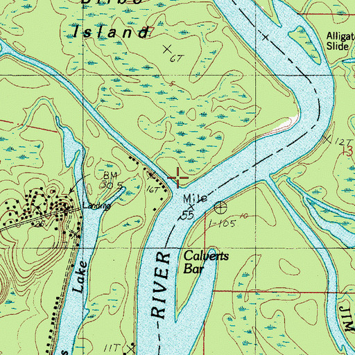 Topographic Map of Bilbo Creek, AL
