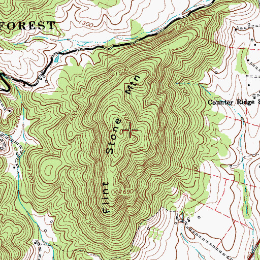 Topographic Map of Flint Stone Mountain, VA