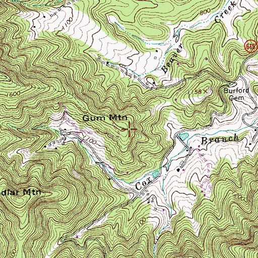 Topographic Map of Gum Mountain, VA