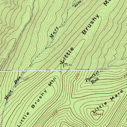 Topographic Map of Little Brushy Mountain, VA