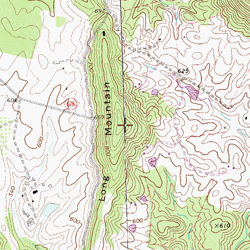 Topographic Map of Long Mountain, VA