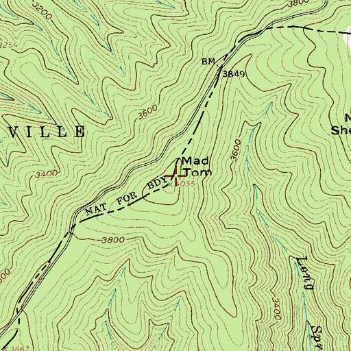 Topographic Map of Mad Tom, VA