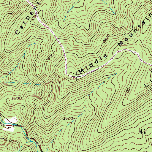 Topographic Map of Middle Mountain, VA