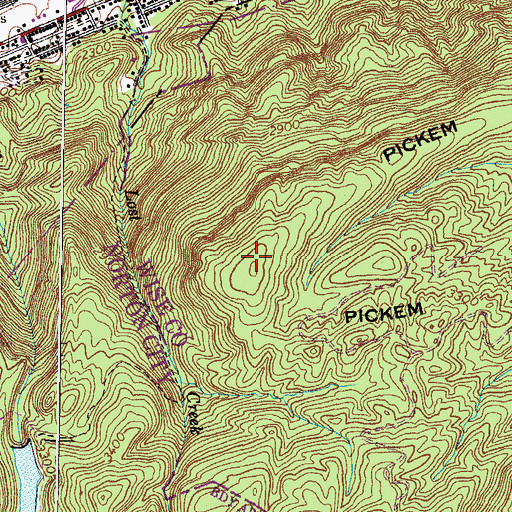 Topographic Map of Pickem Mountain, VA