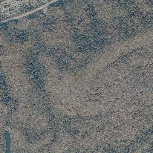 Aerial/Satellite Image of Pickem Mountain, VA