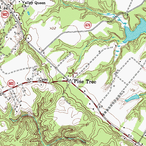 Topographic Map of Pine Tree, VA