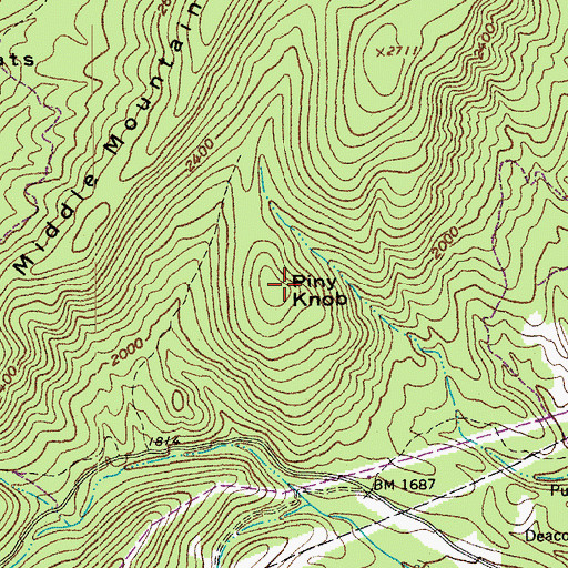 Topographic Map of Piny Knob, VA
