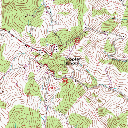Topographic Map of Poplar Knob, VA