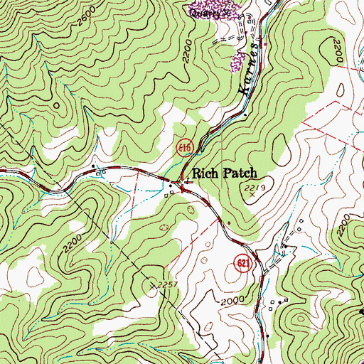 Topographic Map of Rich Patch, VA