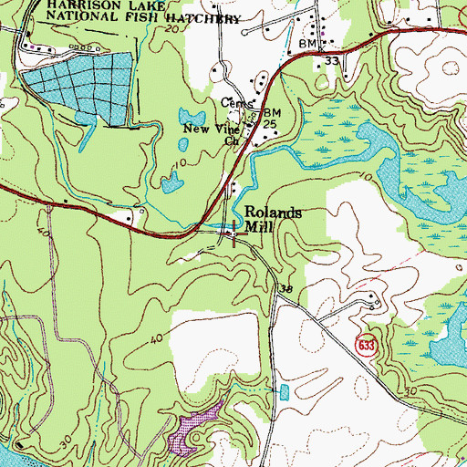 Topographic Map of Rolands Mill, VA
