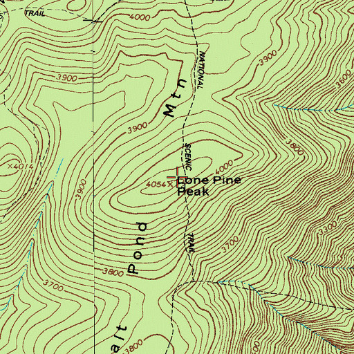 Topographic Map of Salt Pond Mountain, VA