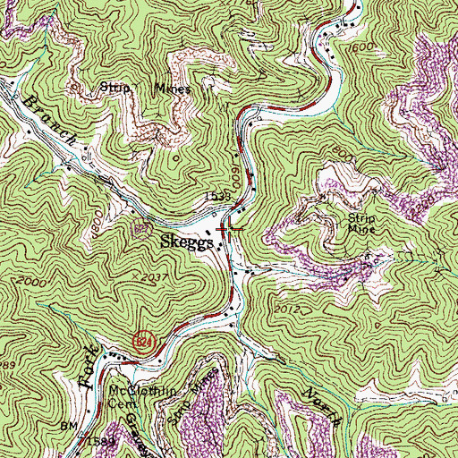 Topographic Map of Skeggs, VA