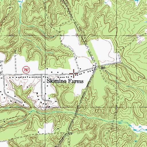Topographic Map of Skimino Farms, VA