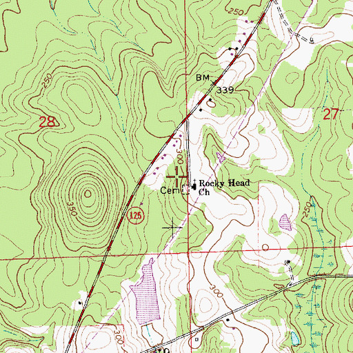 Topographic Map of Rocky Head Church, AL