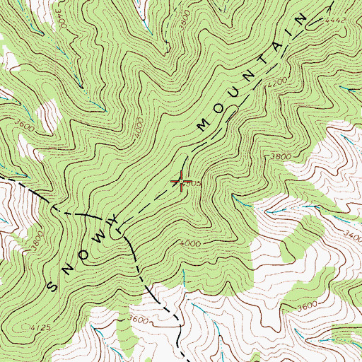 Topographic Map of Snowy Mountain, VA