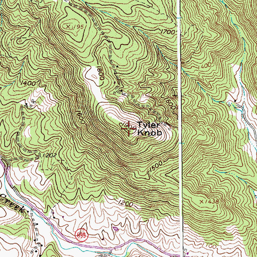 Topographic Map of Tyler Knob, VA