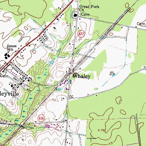 Topographic Map of Whaley, VA