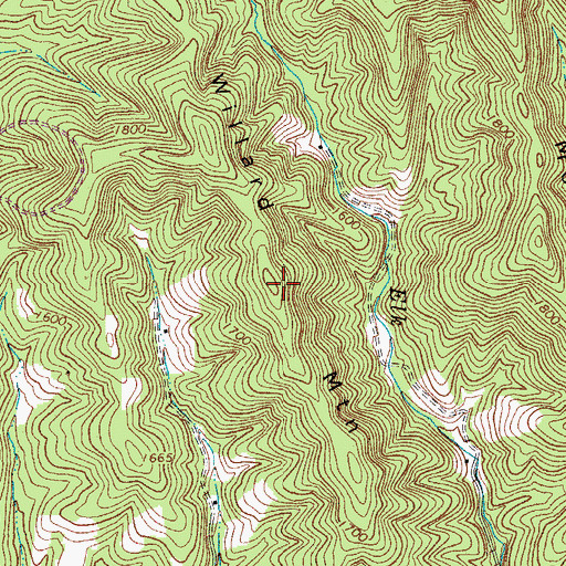 Topographic Map of Willard Mountain, VA