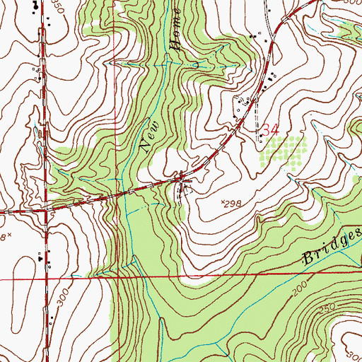 Topographic Map of New Home Church (historical), AL