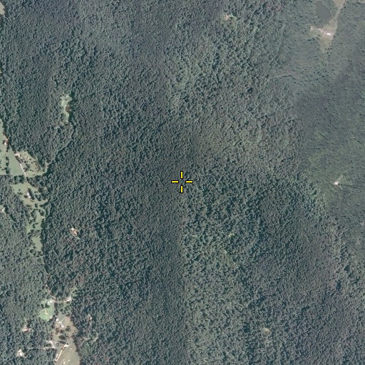 Aerial/Satellite Image of Wolf Mountain, VA