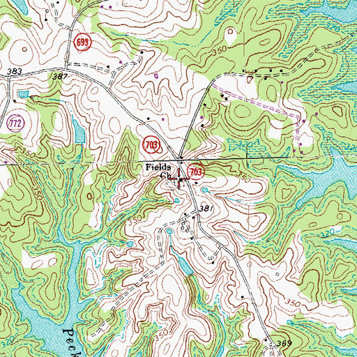 Topographic Map of Fields Cemetery, VA
