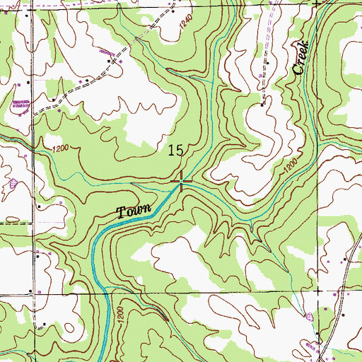 Topographic Map of Bengis Creek, AL