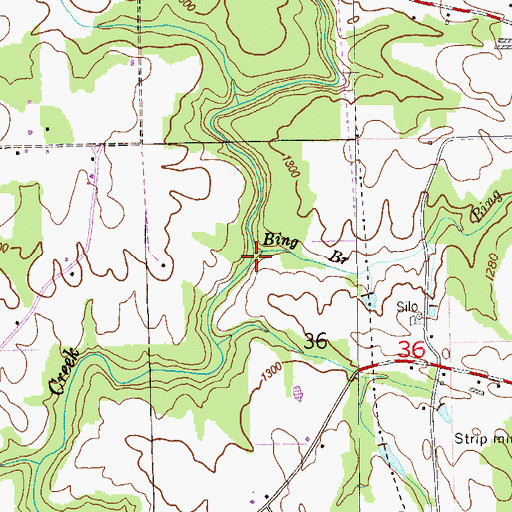 Topographic Map of Bing Branch, AL