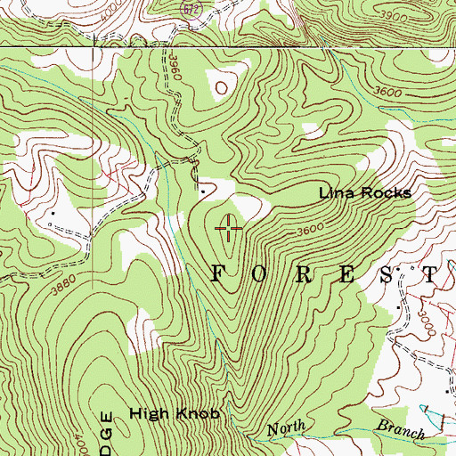 Topographic Map of Brushy Spur, VA